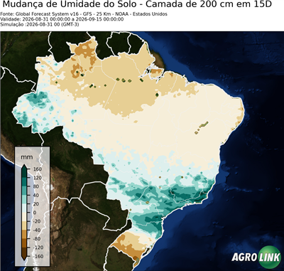 15 dias