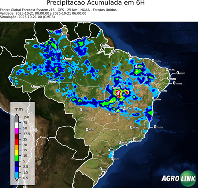 6 horas