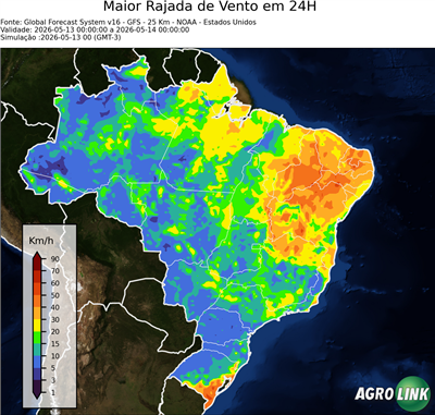 24 horas