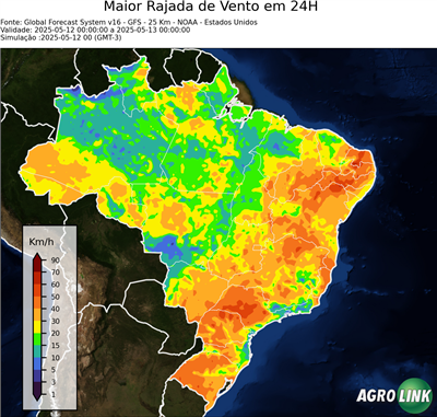 24 horas