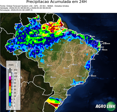 24 horas