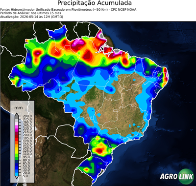 15 dias