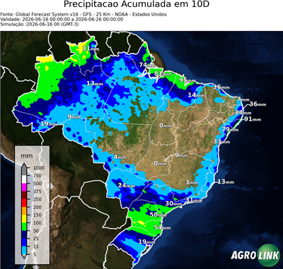 10 dias
