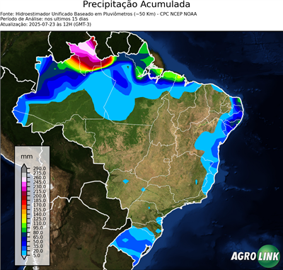 15 dias