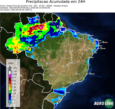 24 horas