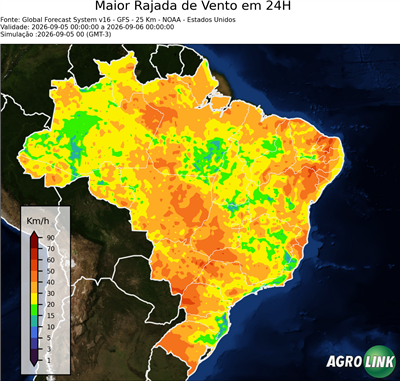 24 horas