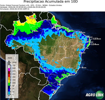 10 dias