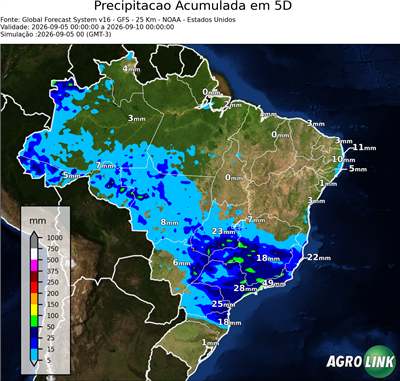 5 dias