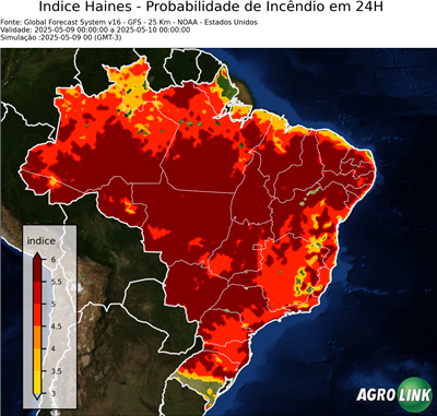 24 horas