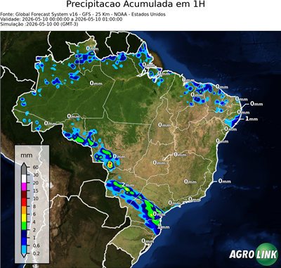 1 hora