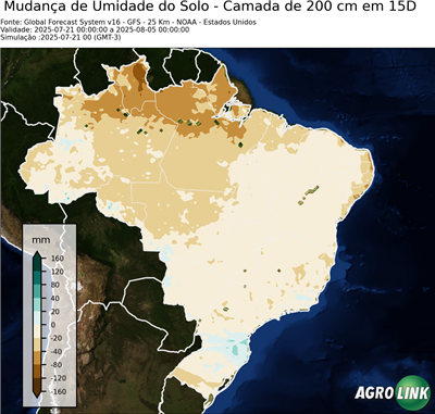 15 dias