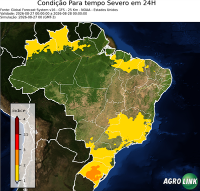 24 horas