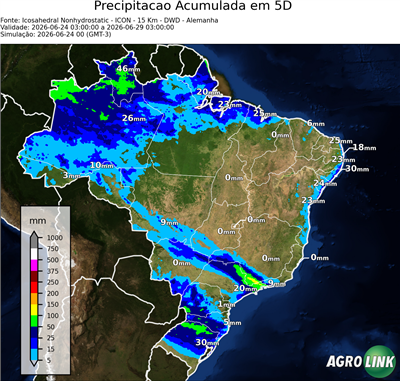 5 dias