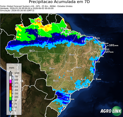 7 dias