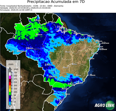 7 dias