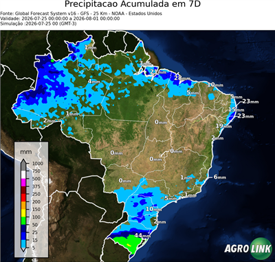7 dias