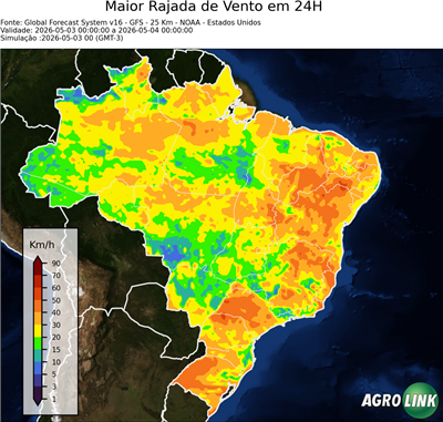 24 horas