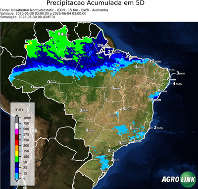 5 dias