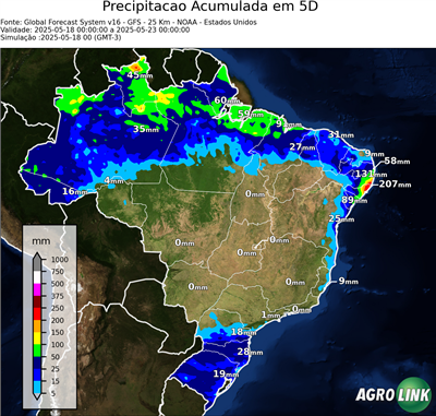 5 dias