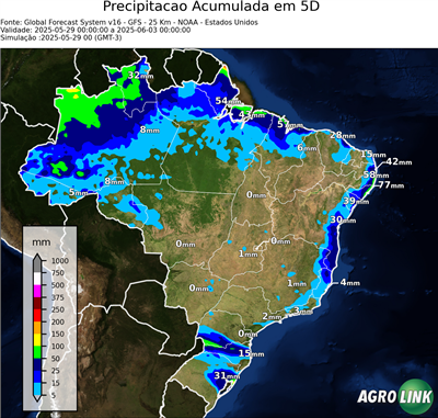5 dias