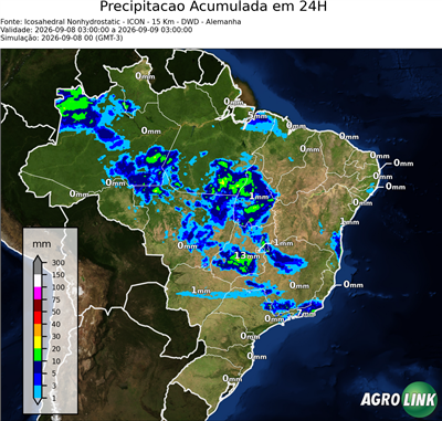24 horas