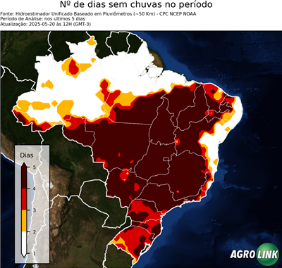 5 dias