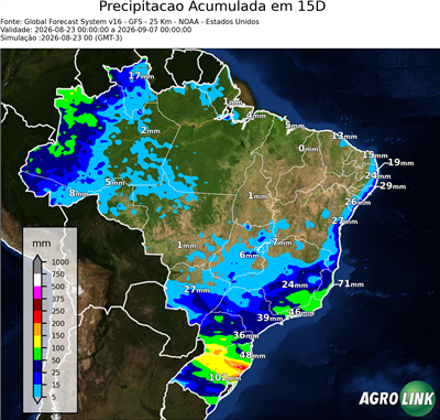15 dias