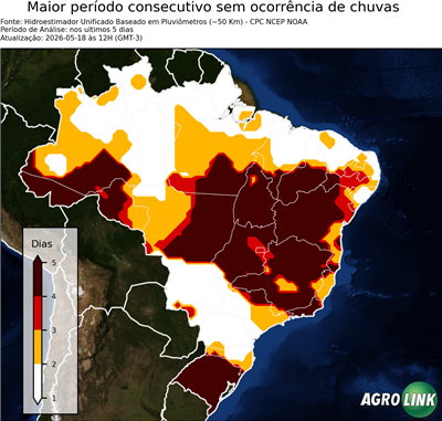 5 dias