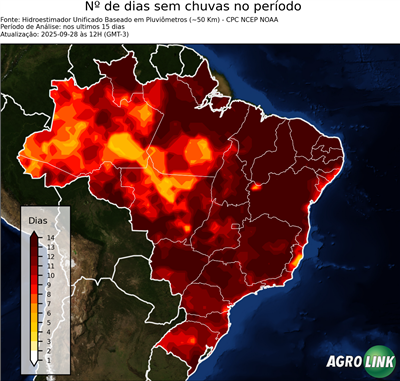 15 dias