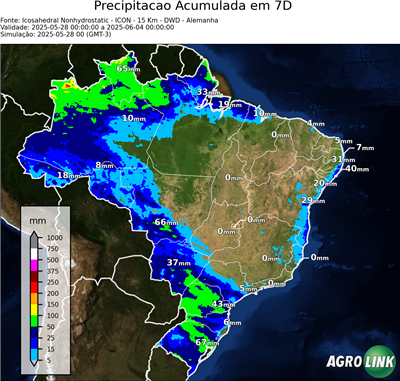 7 dias