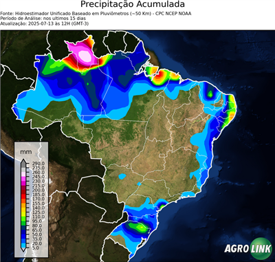 15 dias