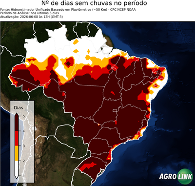 5 dias