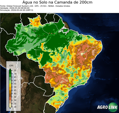 24 horas