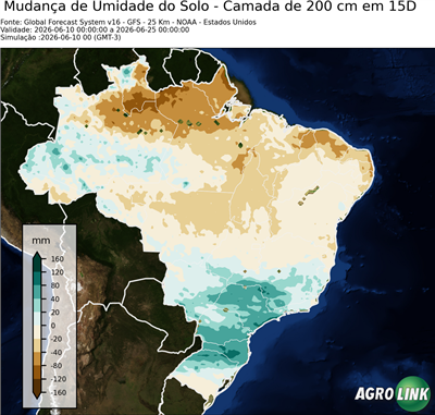 15 dias