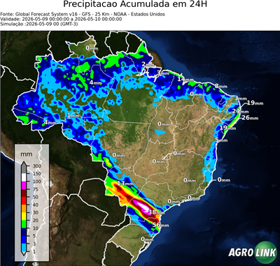 24 horas