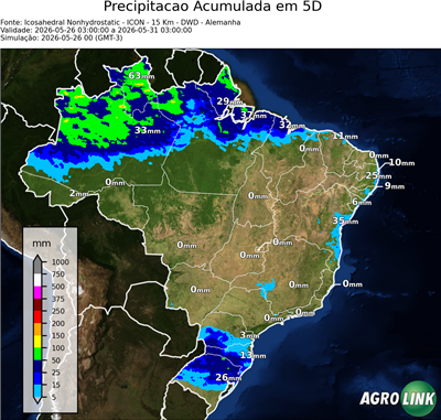5 dias
