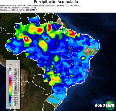 15 dias