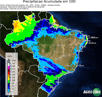 10 dias