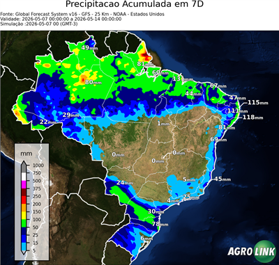 7 dias
