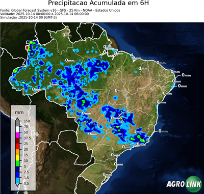 6 horas
