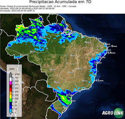 7 dias