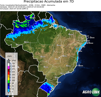 7 dias