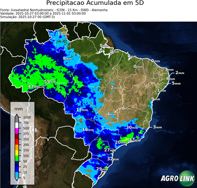 5 dias
