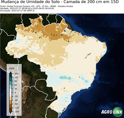 15 dias