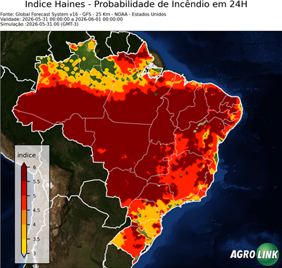 24 horas