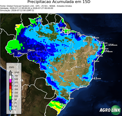 15 dias