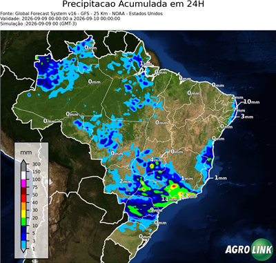 24 horas