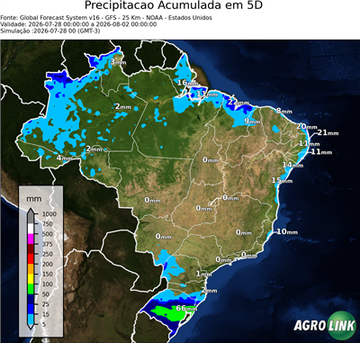5 dias