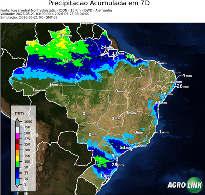 7 dias