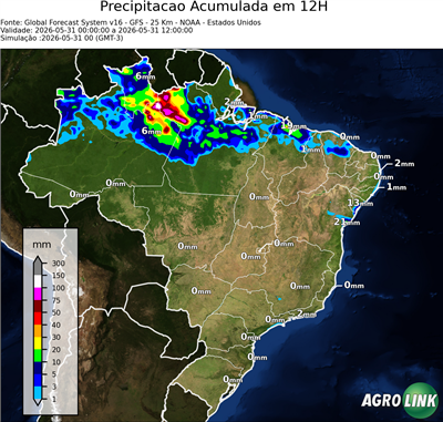 12 horas